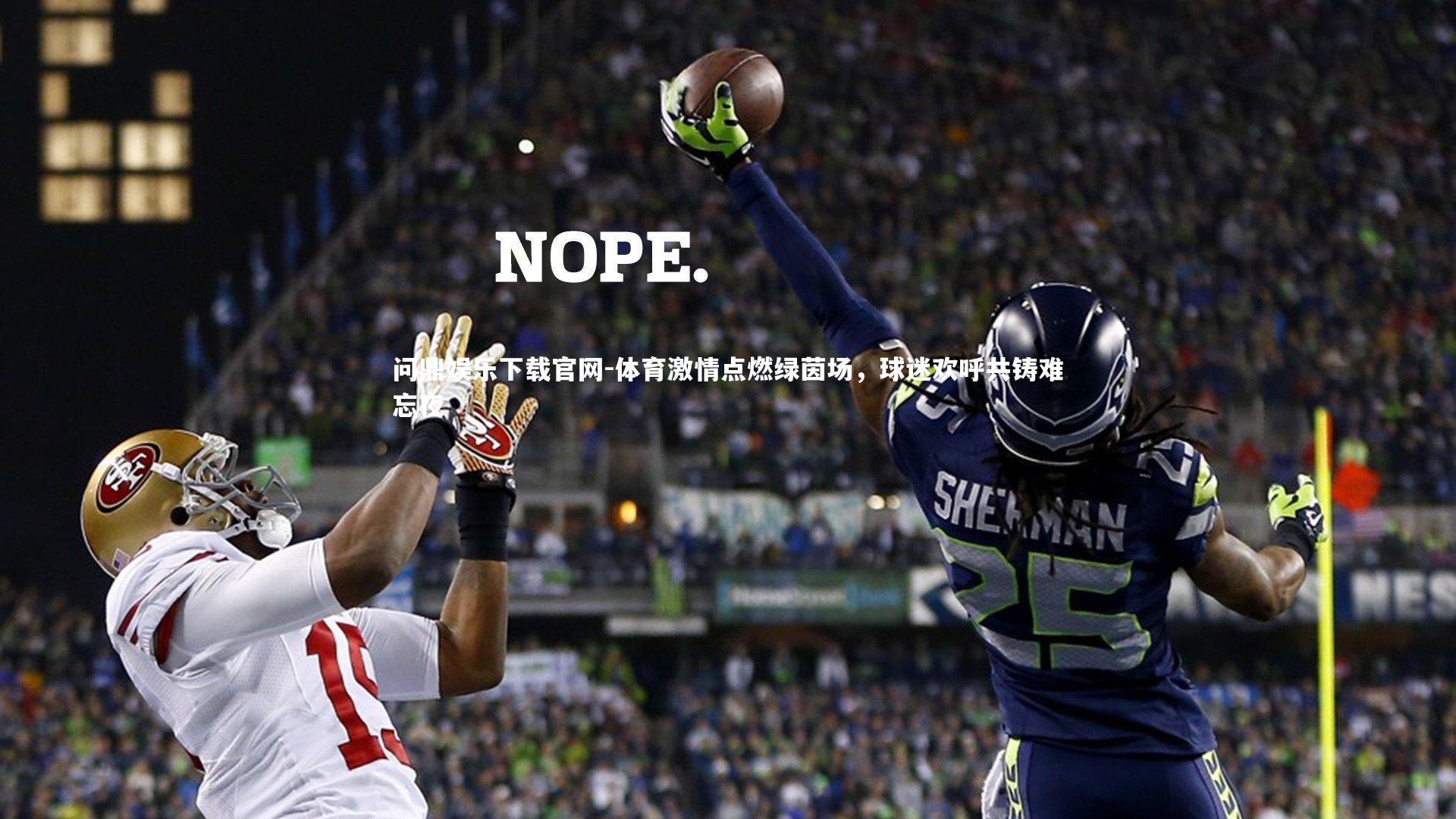 体育激情点燃绿茵场,球迷欢呼共铸难忘夜