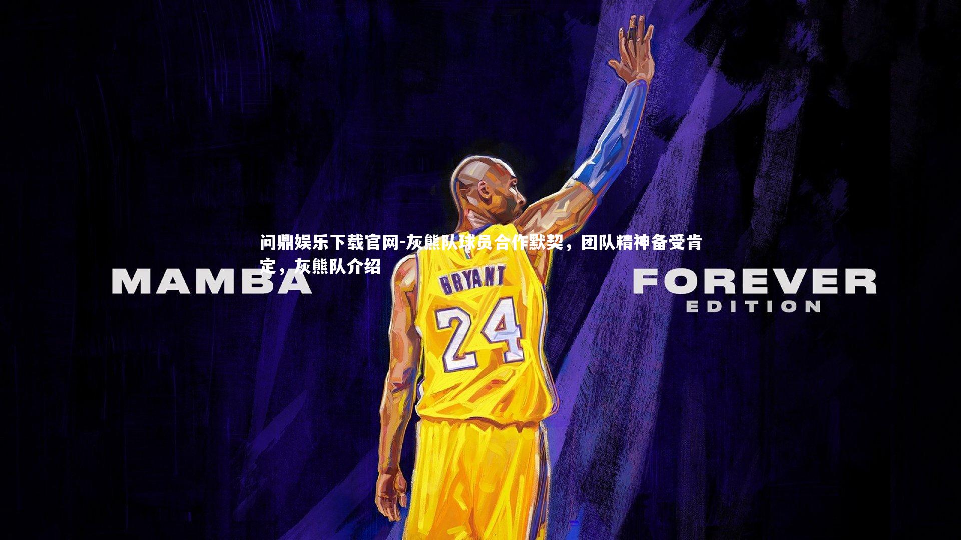 灰熊队球员合作默契,团队精神备受肯定,灰熊队介绍